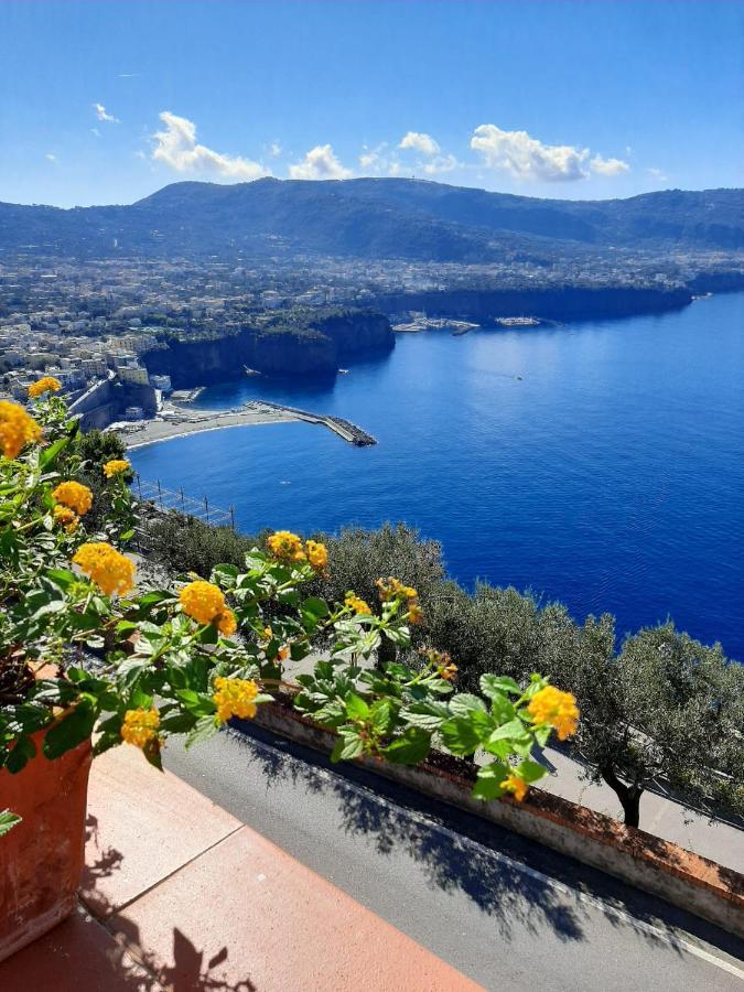 ヴィーコ・エクエンセBella Vista House-Sorrento Coast - Free Parking-Solariumアパートメント エクステリア 写真