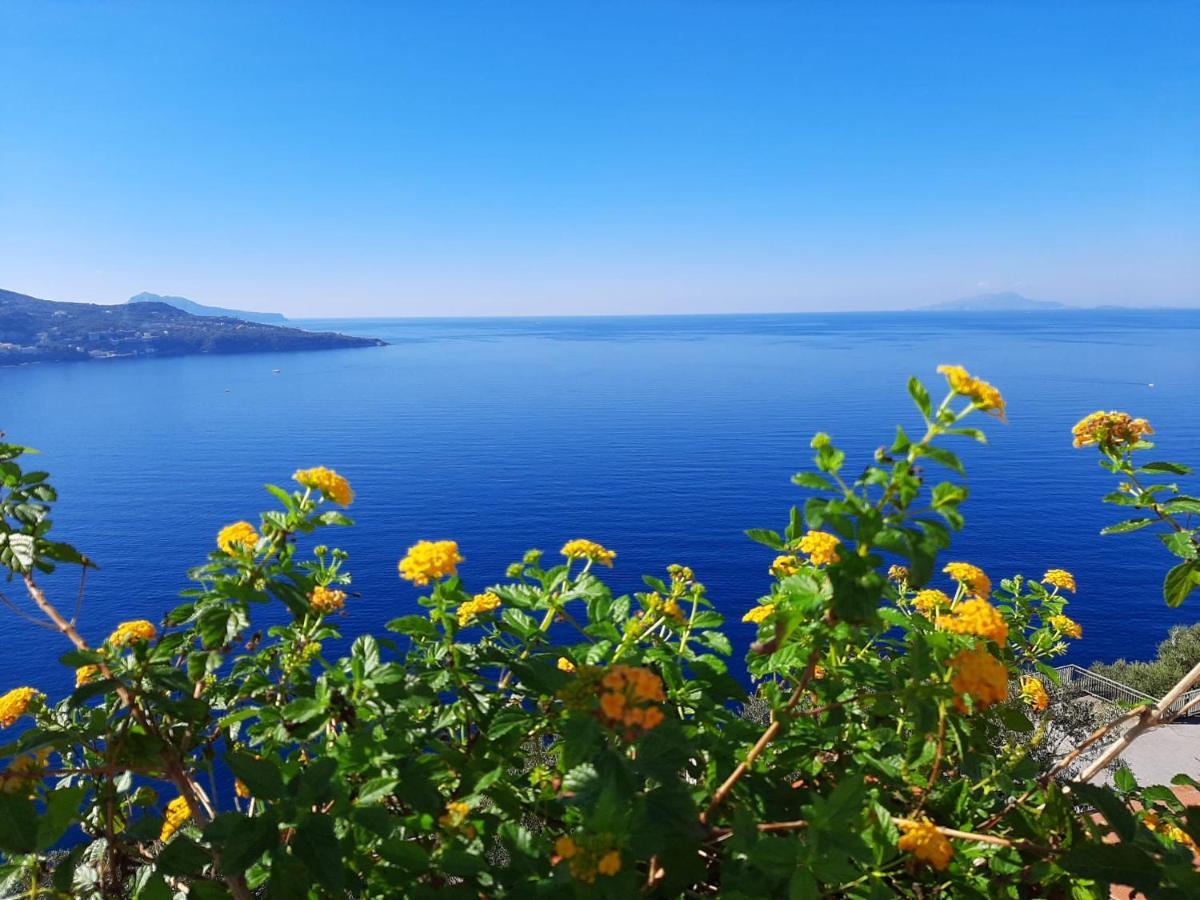 ヴィーコ・エクエンセBella Vista House-Sorrento Coast - Free Parking-Solariumアパートメント エクステリア 写真