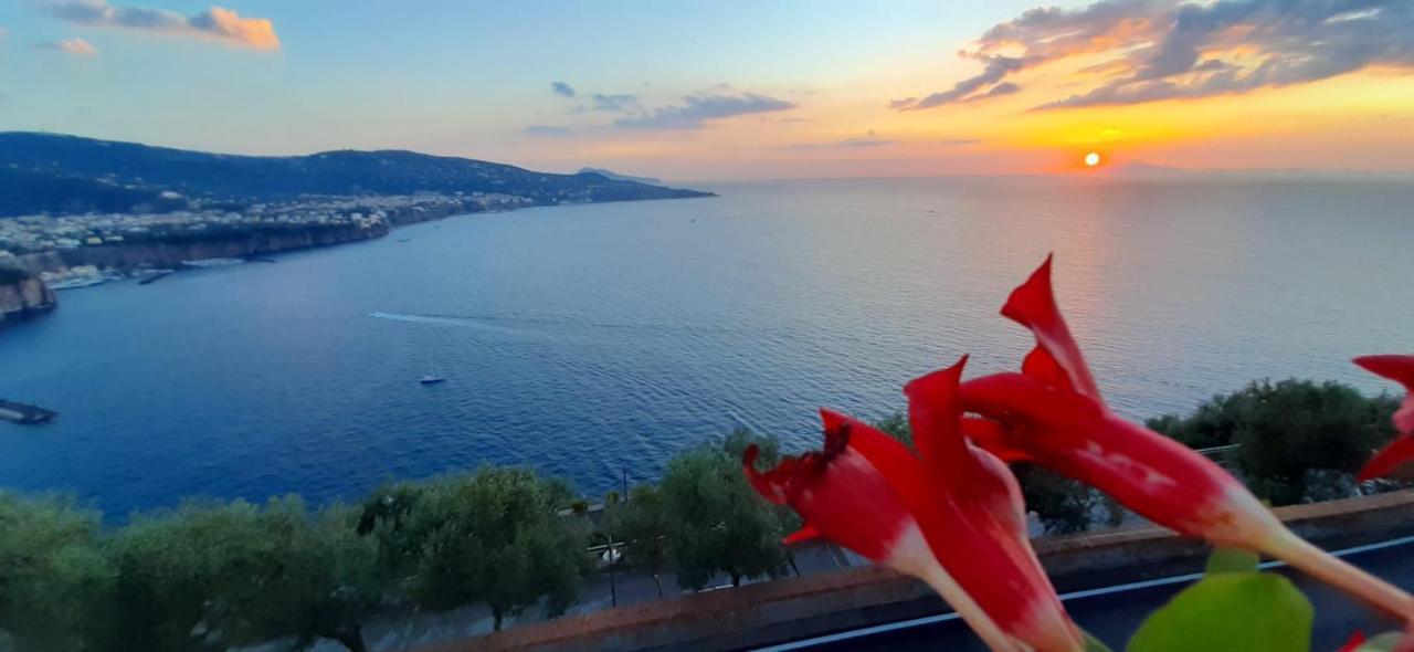 ヴィーコ・エクエンセBella Vista House-Sorrento Coast - Free Parking-Solariumアパートメント エクステリア 写真