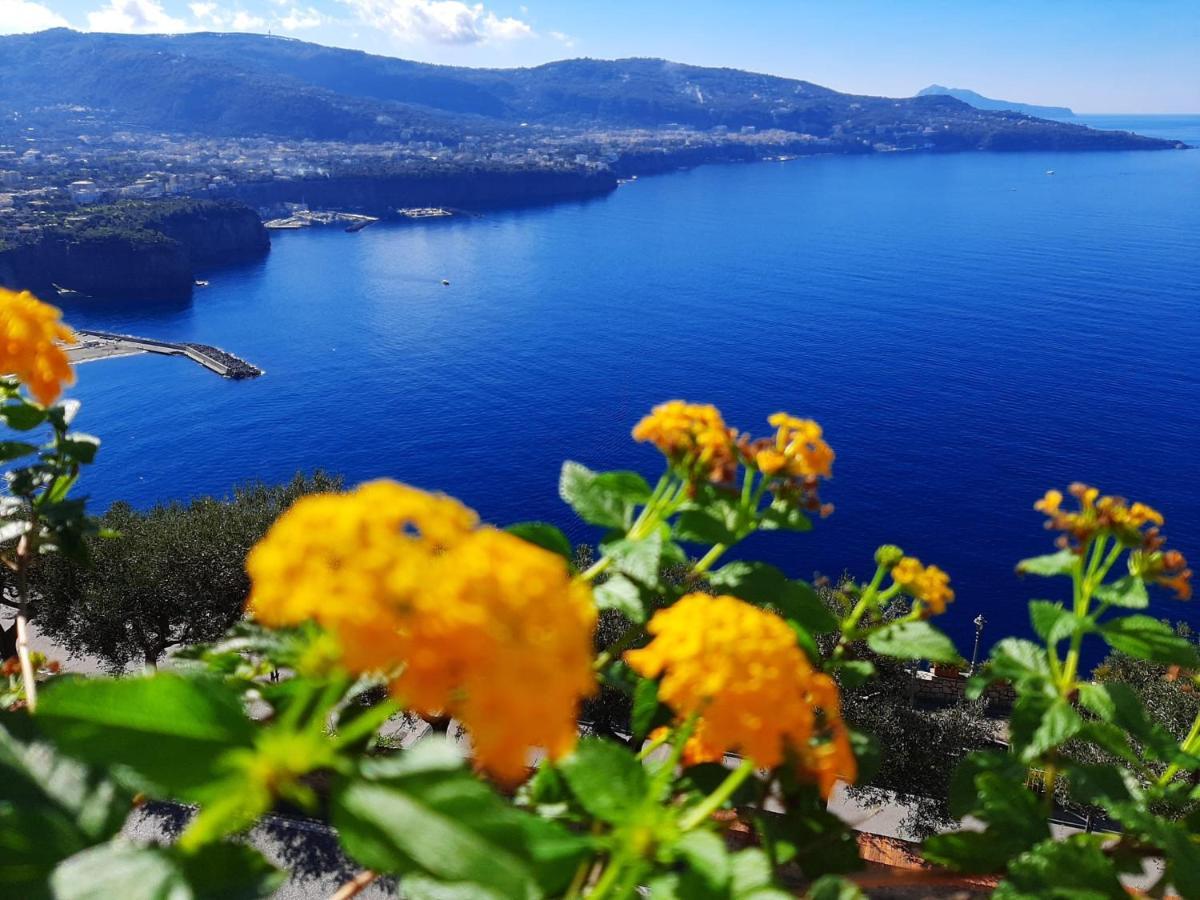 ヴィーコ・エクエンセBella Vista House-Sorrento Coast - Free Parking-Solariumアパートメント エクステリア 写真